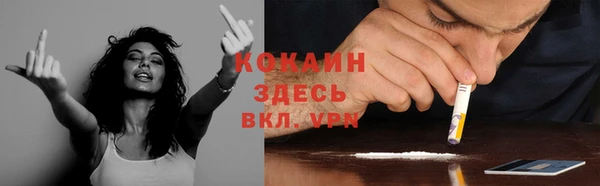 дмт Абаза