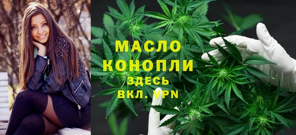 дмт Абаза