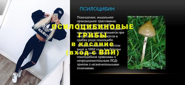 дмт Абаза