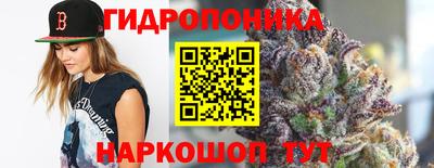 крисы Краснокаменск