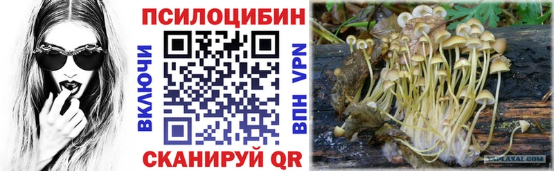 продажа наркотиков Иваново Псилоцибиновые грибы MAGIC MUSHROOMS