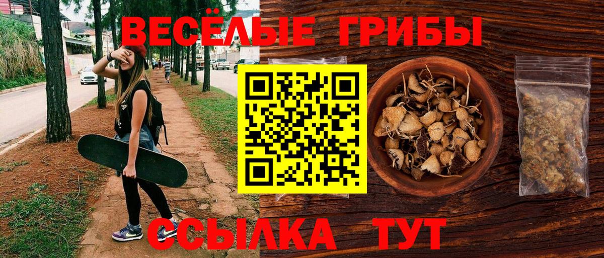 Псилоцибиновые грибы мицелий Иваново